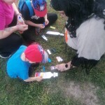 IMG_20250430_174401