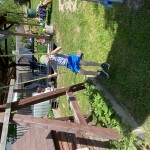 IMG_2460