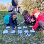 IMG_20260430_164720